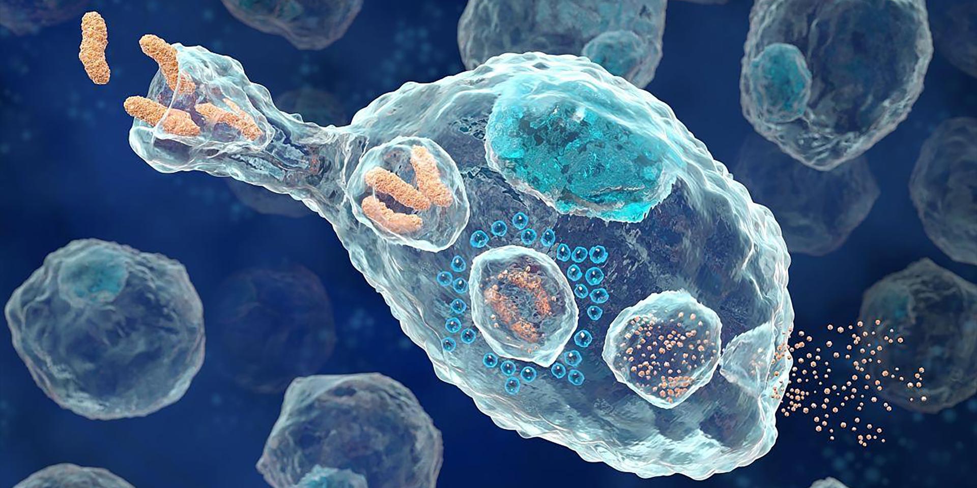 快讯|赛元生物与齐鲁制药达成全球化战略合作协议，共同探索通用型癌症免疫细胞疗法